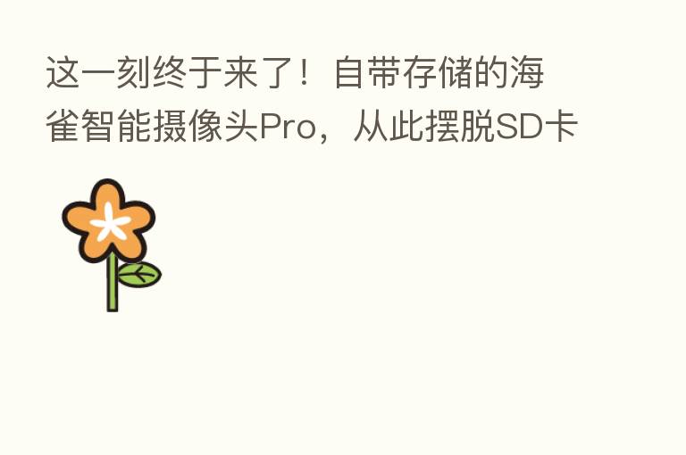 这一刻终于来了!自带存储的海雀智能摄像头Pro,从此摆脱SD卡