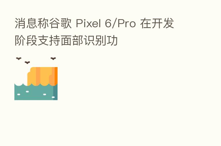 消息称谷歌 Pixel 6/Pro 在开发阶段支持面部识别功