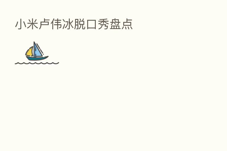 小米卢伟冰脱口秀盘点