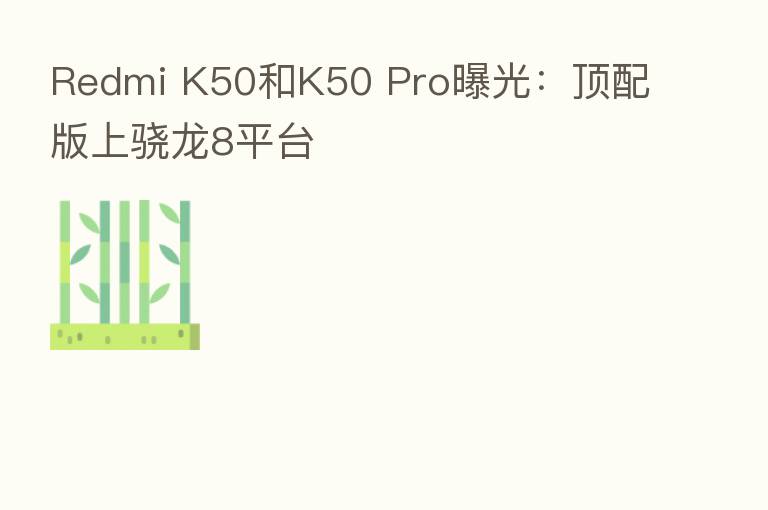 Redmi K50和K50 Pro曝光:顶配版上骁龙8平台
