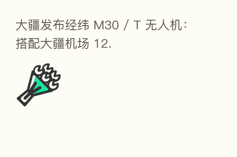 大疆发布经纬 M30 / T 无人机:搭配大疆机场 12.