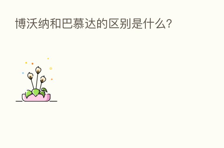 博沃纳和巴慕达的区别是什么?