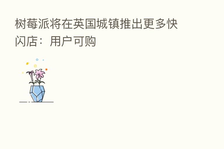 树莓派将在英国城镇推出更多快闪店：用户可购