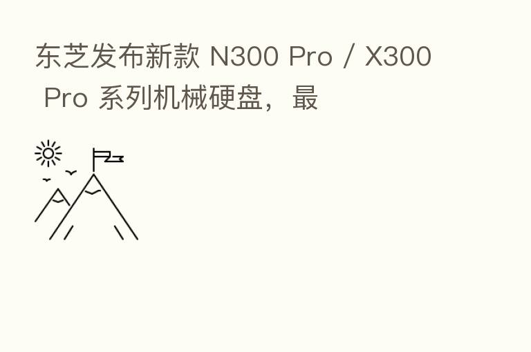 东芝发布新款 N300 Pro / X300 Pro 系列机械硬盘,