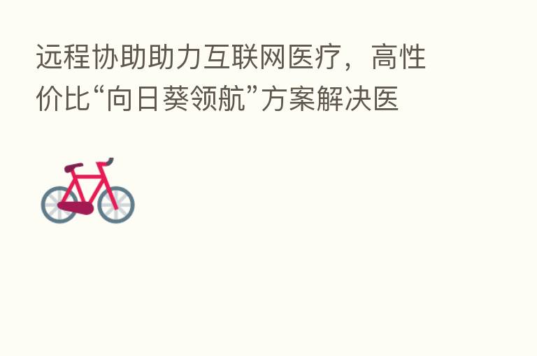 远程协助助力互联网医疗,高性价比“向日葵领航”方案解决医疗软件维护难题