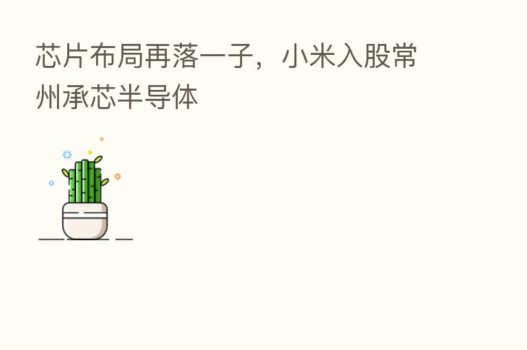 芯片布局再落一子,小米入股常州承芯半导体