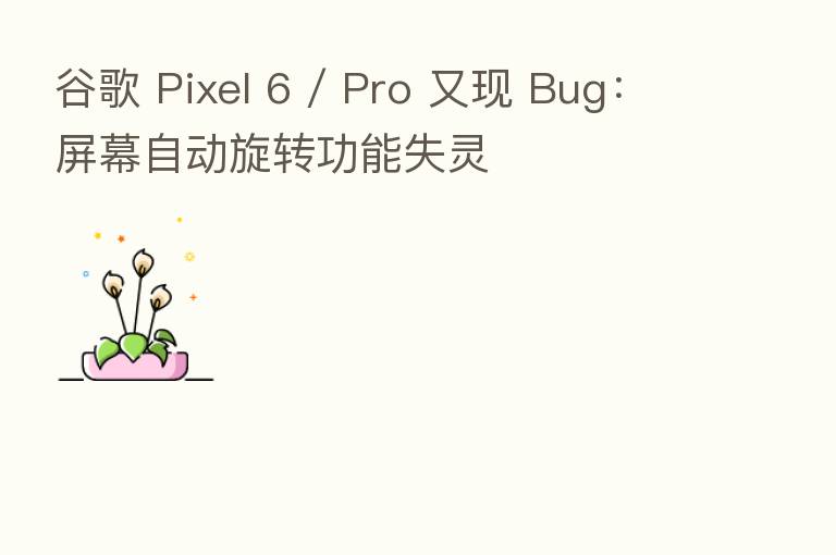 谷歌 Pixel 6 / Pro 又现 Bug:屏幕自动旋转功能失灵