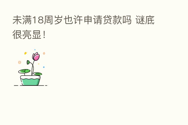未满18周岁也许申请贷款吗 谜底很亮显!
