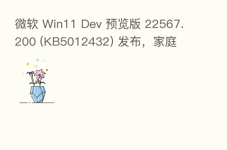 微软 Win11 Dev 预览版 22567.200 (KB5012432) 发布，家庭
