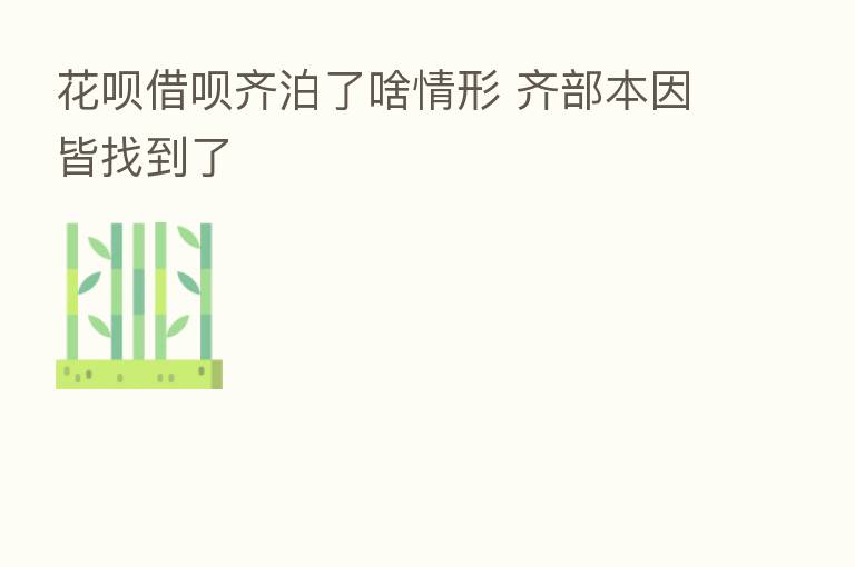 花呗借呗齐泊了啥情形 齐部本因皆找到了