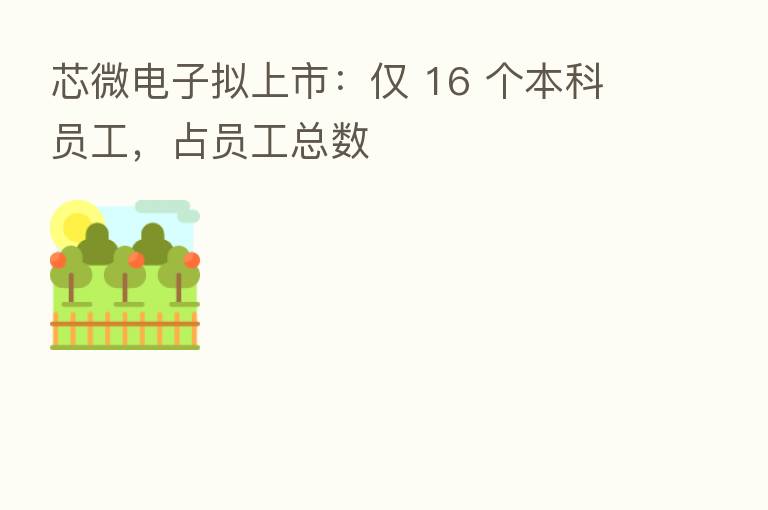 芯微电子拟上市:仅 16 个本科员工,占员工总数