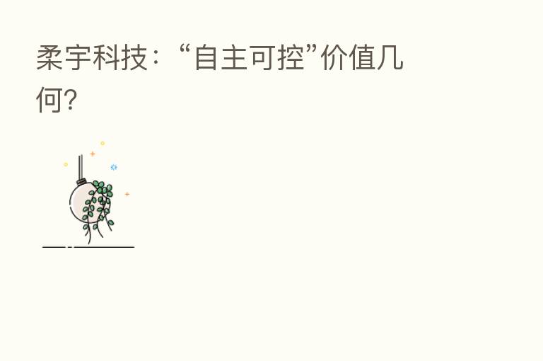 柔宇科技:“自主可控”价值几何?
