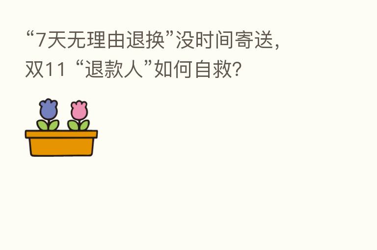 “7天无理由退换”没时间寄送,双11 “退款人”如何自救?