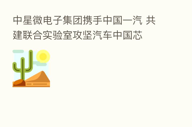 中星微电子集团携手中国一汽 共建联合实验室攻坚汽车中国芯