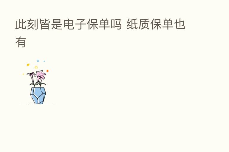 此刻皆是电子保单吗 纸质保单也有