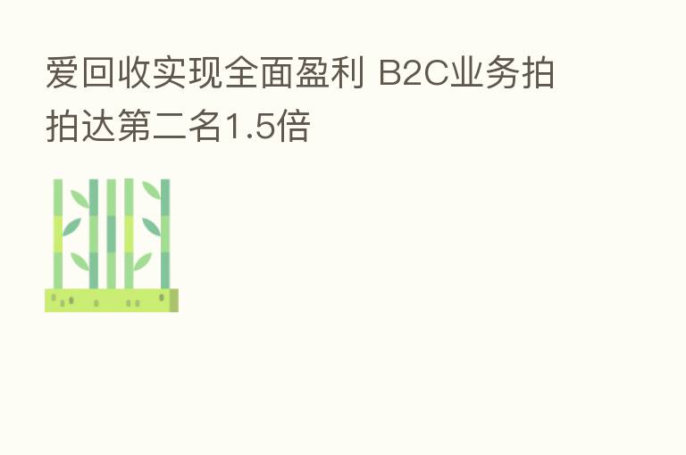 爱回收实现全面盈利 B2C业务拍拍达 二名1.5倍