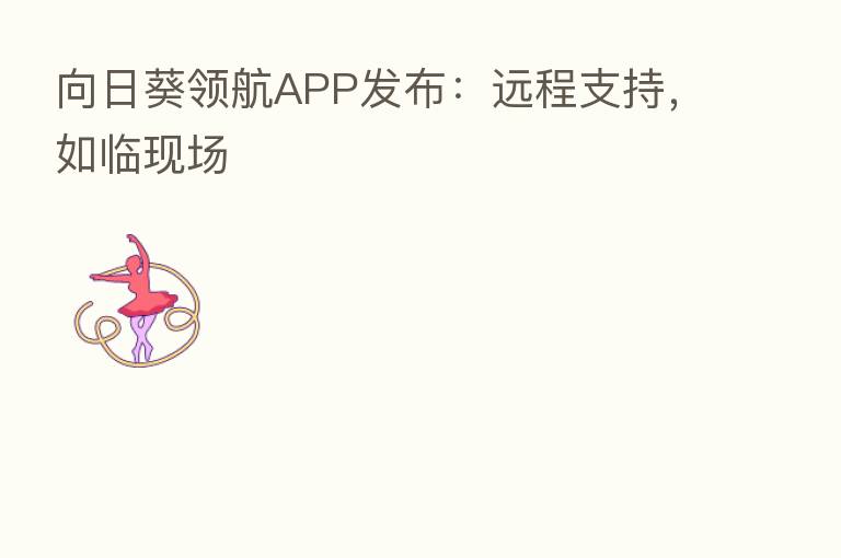向日葵领航APP发布:远程支持,如临现场