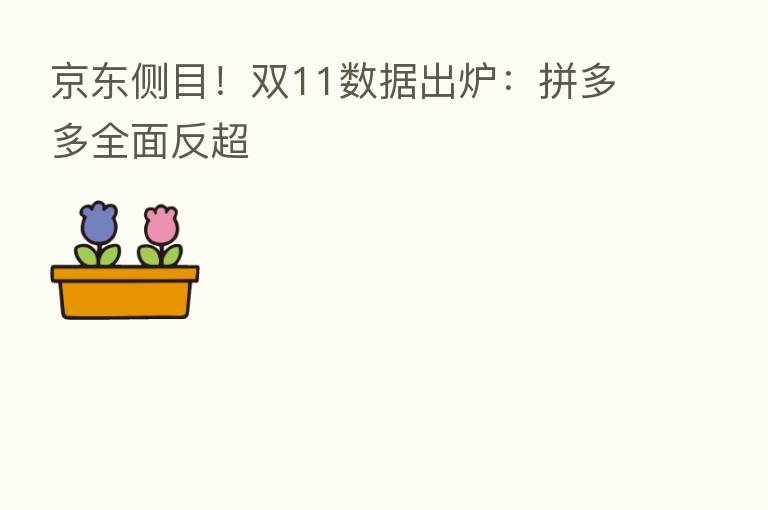 京东侧目!双11数据出炉:拼多多全面反超