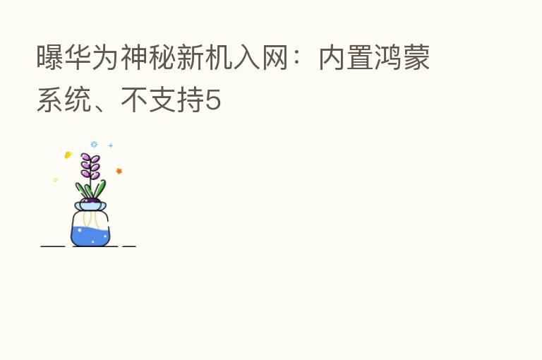 曝华为神秘新机入网:内置鸿蒙系统、不支持5