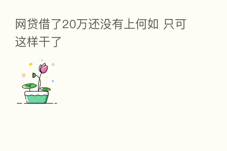 网贷借了20万还没有上何如 只可这样干了