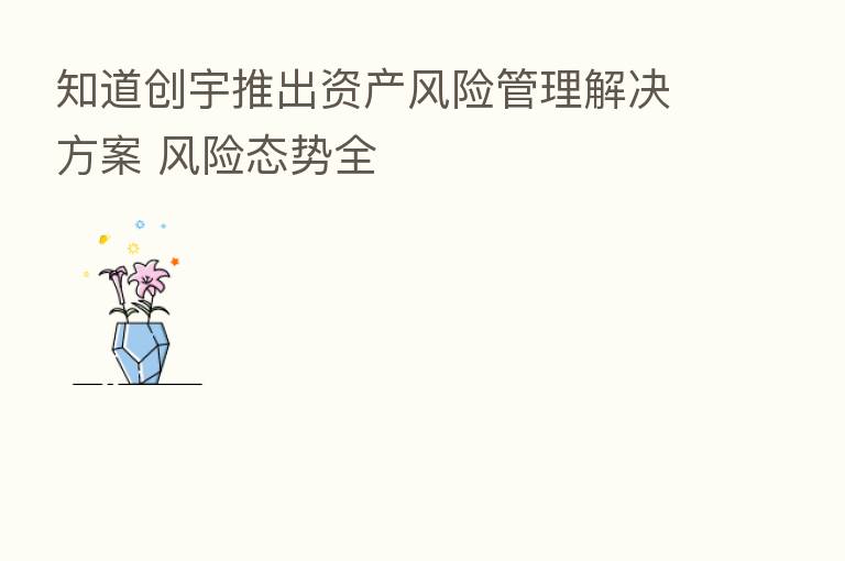 知道创宇推出资产风险管理解决方案 风险态势全