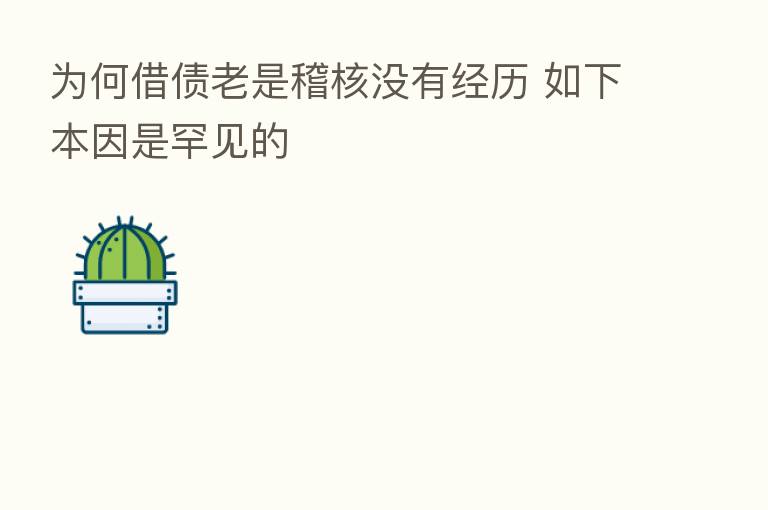 为何借债老是稽核没有经历 如下本因是罕见的