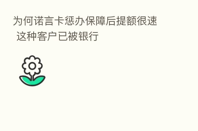 为何诺言卡惩办保障后提额很速 这种客户已被银行
