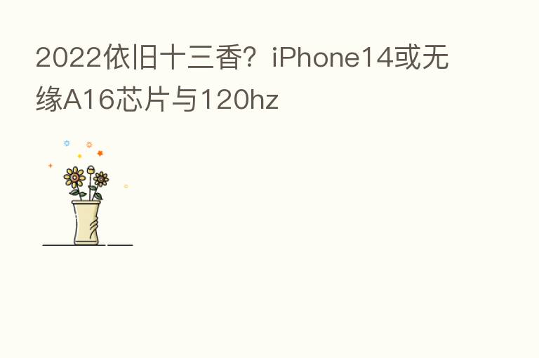 2022依旧十三香?iPhone14或无缘A16芯片与120hz