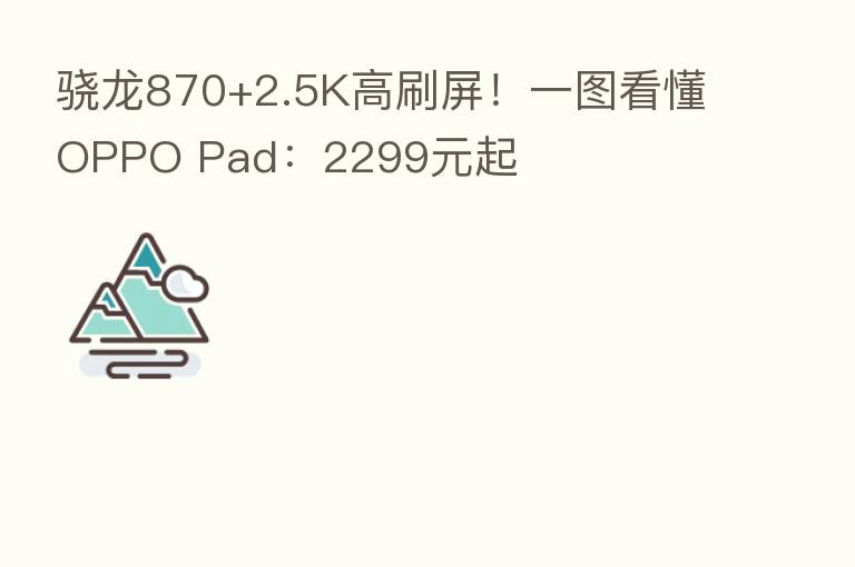 骁龙870+2.5K高刷屏！一图看懂OPPO Pad：2299元起