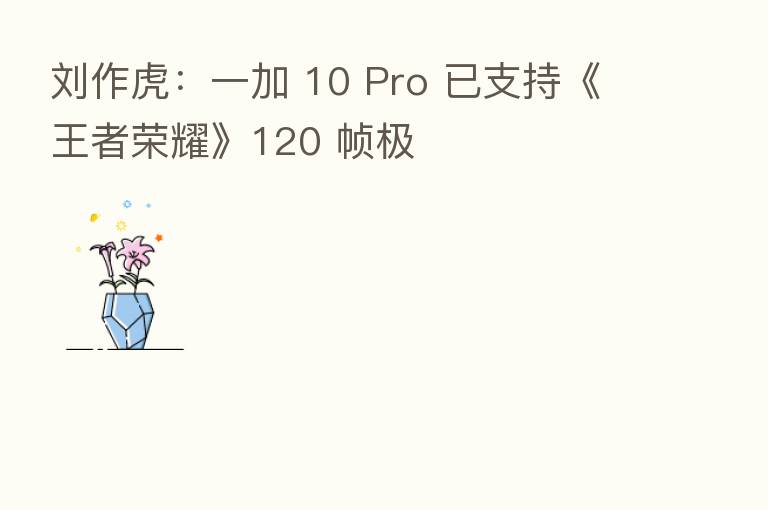 刘作虎:一加 10 Pro 已支持《王者 》120 帧极