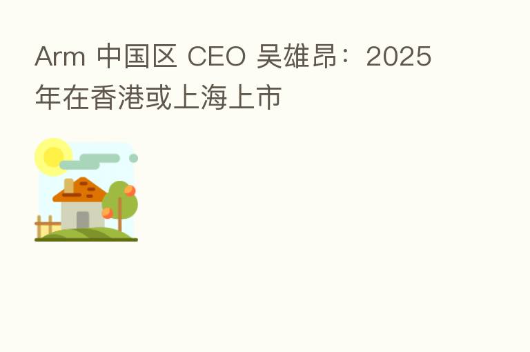 Arm 中国区 CEO 吴雄昂:2025 年在香港或上海上市
