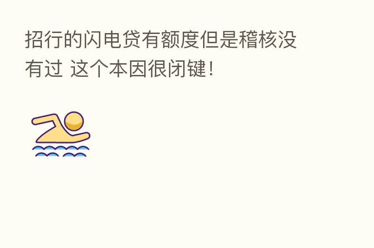 招行的闪电贷有额度但是稽核没有过 这个本因很闭键!