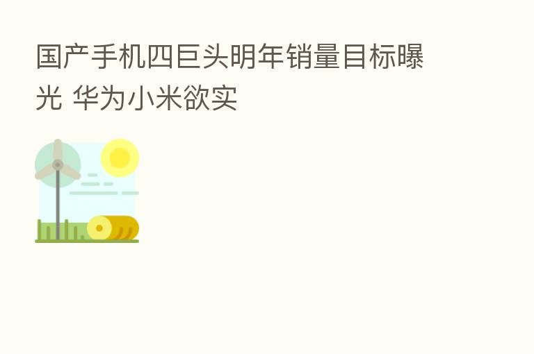 国产手机四巨头明年销量目标曝光 华为小米欲实