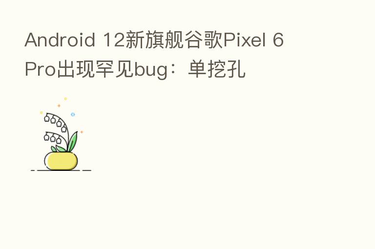 Android 12新旗舰谷歌Pixel 6 Pro出现罕见bug:单挖孔