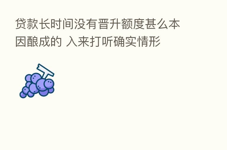 贷款长时间没有晋升额度甚么本因酿成的 入来打听确实情形