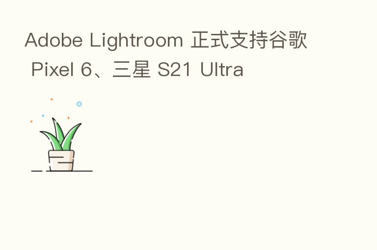 Adobe Lightroom 正式支持谷歌 Pixel 6、三星 S21 Ultra