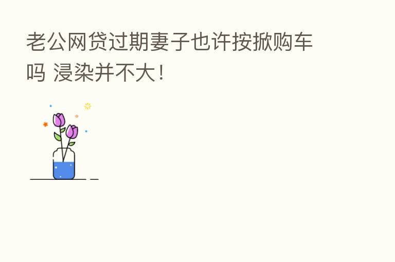 老公网贷过期妻子也许按掀购车吗 浸染并不大！
