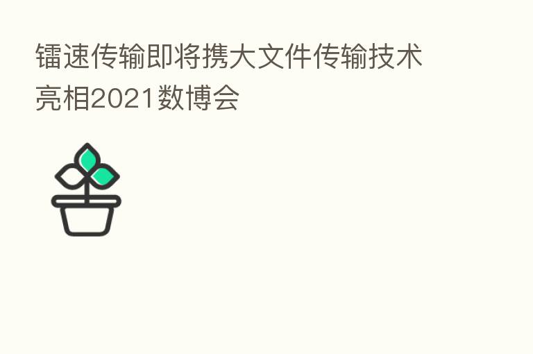 镭速传输即将携大文件传输技术亮相2021数博会
