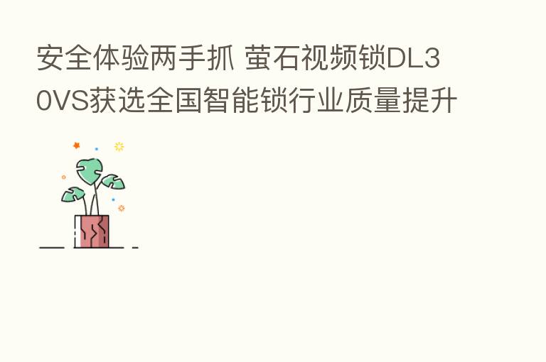 安全体验两手抓 萤石视频锁DL30VS获选全国智能锁行业质量提升行动示范产品