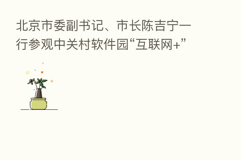 北京市委副书记、市长陈吉宁一行参观中关村软件园“互联网+”大赛交流中心西人马项目