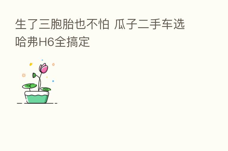 生了三胞胎也不怕 瓜子二手车选哈弗H6全搞定