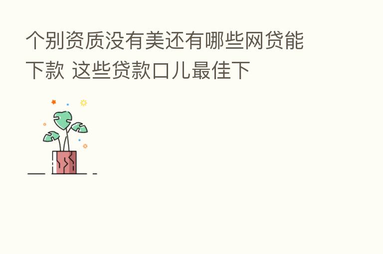 个别资质没有美还有哪些网贷能下款 这些贷款口儿 佳下