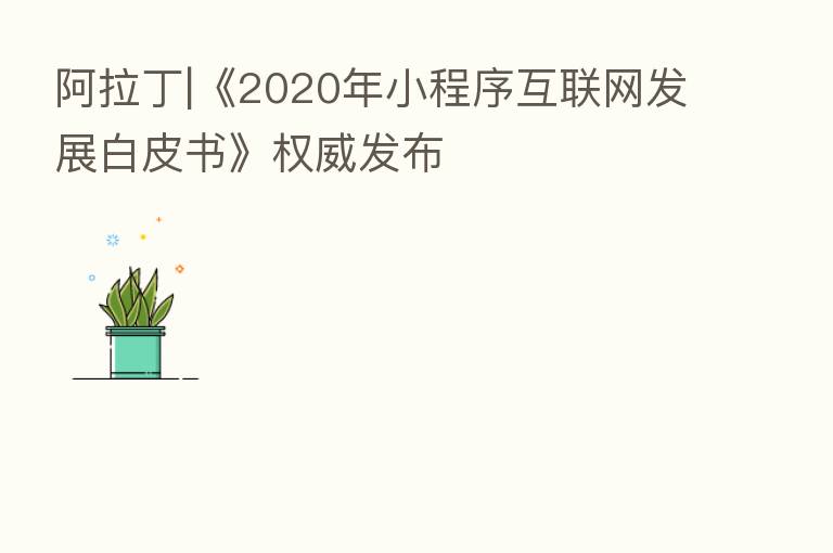 阿拉丁|《2020年小程序互联网发展白皮书》权威发布