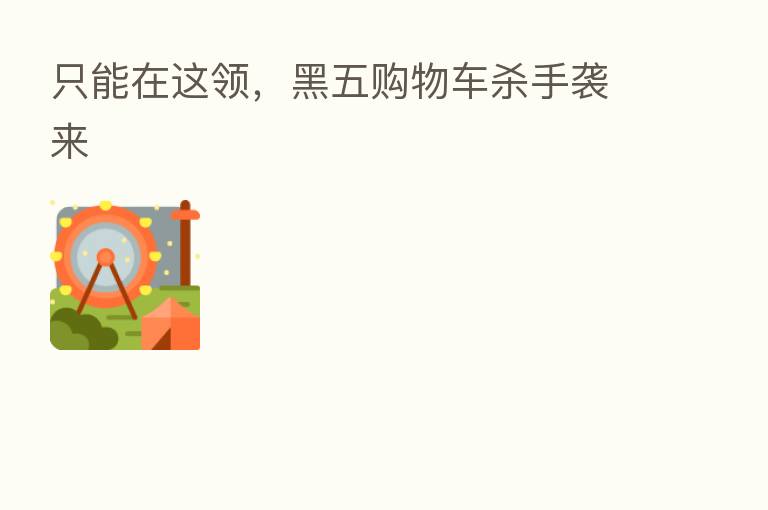 只能在这领，黑五购物车   手袭来