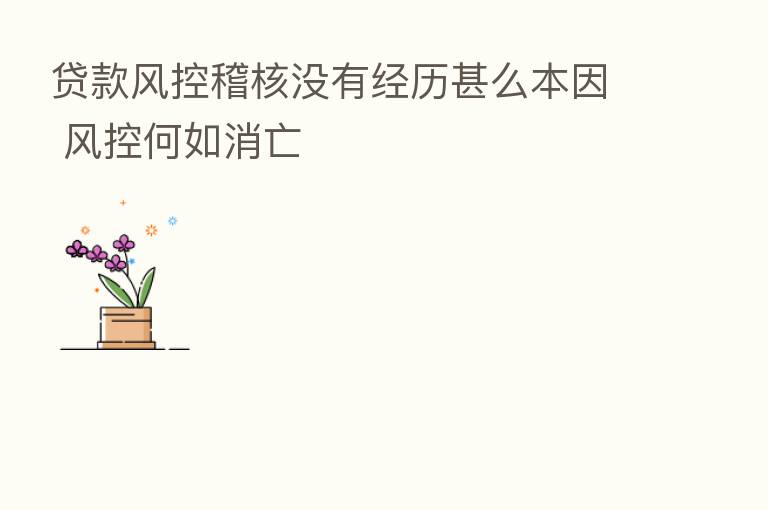 贷款风控稽核没有经历甚么本因 风控何如消亡