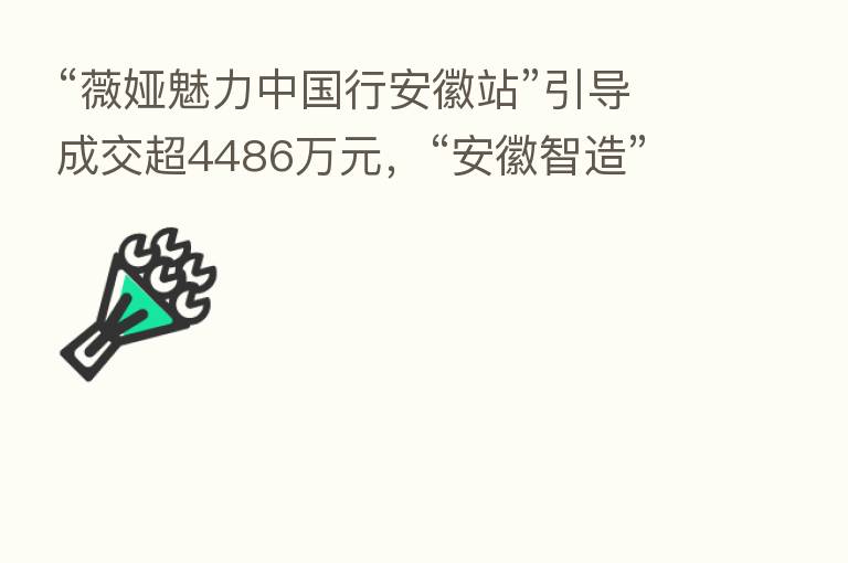 “薇娅魅力中国行安徽站”引导成交超4486万元,“安徽智造”成直播间畅销好物