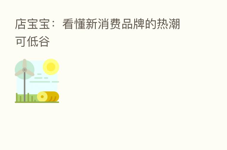 店宝宝:看懂新消费品牌的热潮可低谷