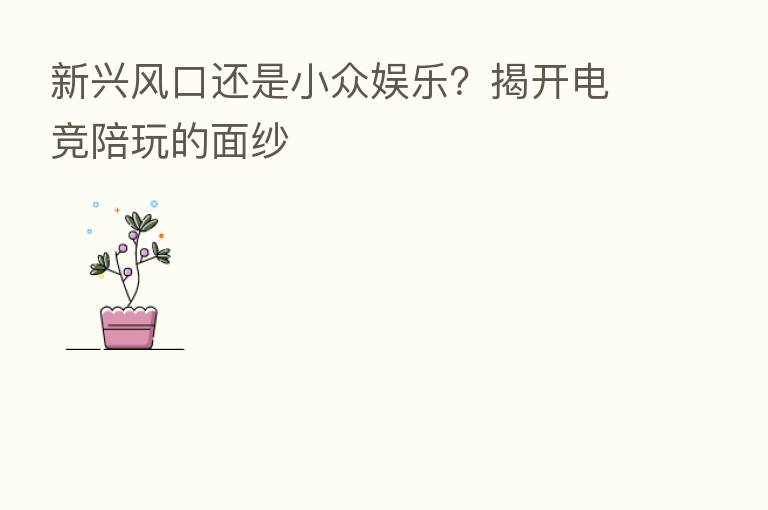 新兴风口还是小众娱乐?揭开电竞陪玩的面纱
