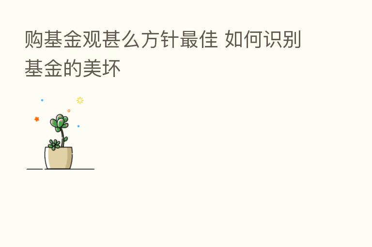 购基金观甚么方针 佳 如何识别基金的美坏