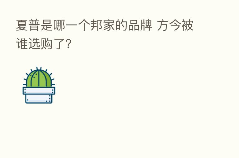 夏普是哪一个邦家的品牌 方今被谁选购了?